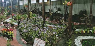 thread garden