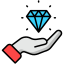premier services