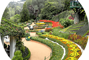 Botanical Gardens