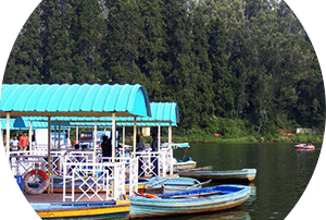 Ooty Lake