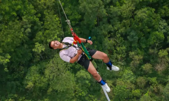 Zipline