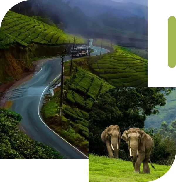 kodaikanal one day trip from madurai