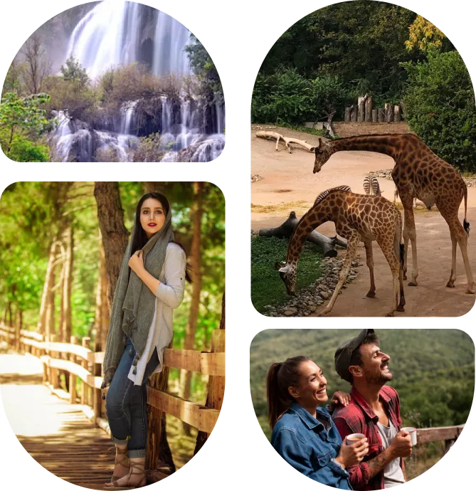 Ooty Kodaikanal Tour Packages