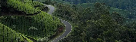 2 Nights And 3 Days Kodaikanal Tour Package