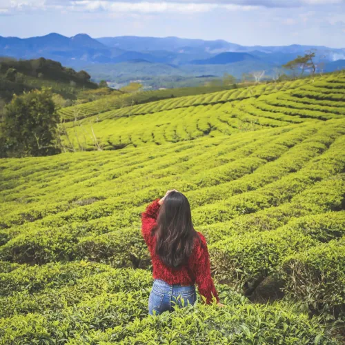Kodaikanal tour package from Trichy