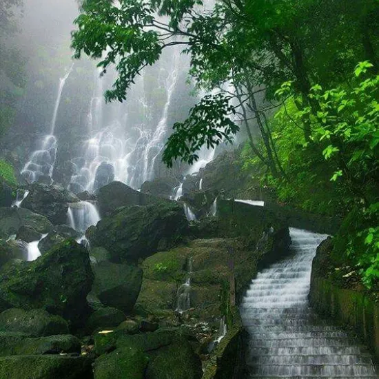 Kodaikanal Trip Packages From Kochi