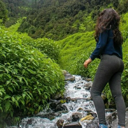 Kodaikanal Top Sightseeing From Kochi