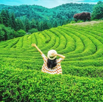 Kodaikanal Trip From Trichy With Sightseeing