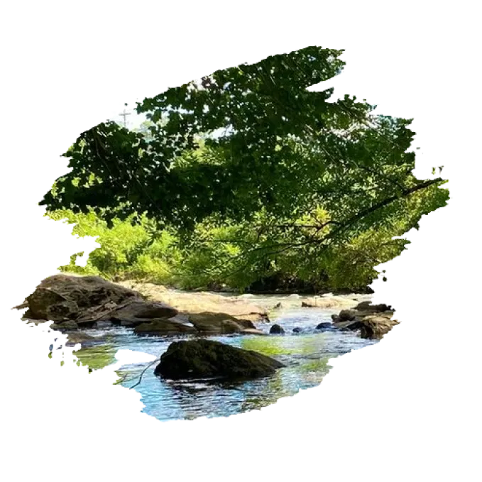 Trichy to Kodaikanal tour packages