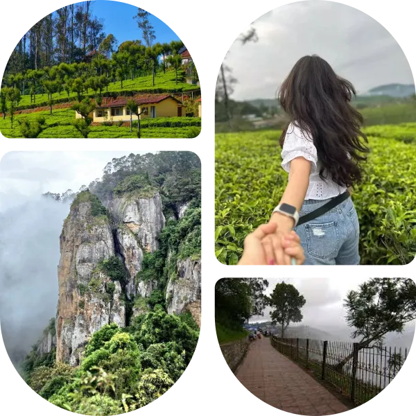 Best Kodaikanal Trip From Mysore