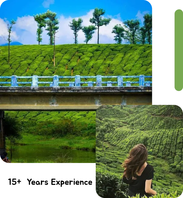 Salem To Kodaikanal Tour Packages Kodaikanal Trip From Salem