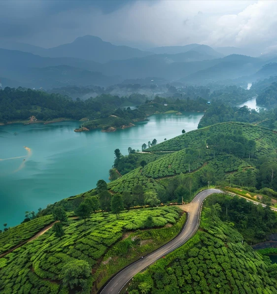 Why Choose Us_ 1 Affordable Bangalore to Ooty Kodaikanal tour package